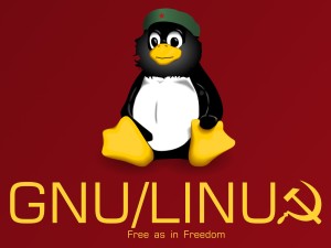 Che_Tux__Linux___Communism_by_yashton